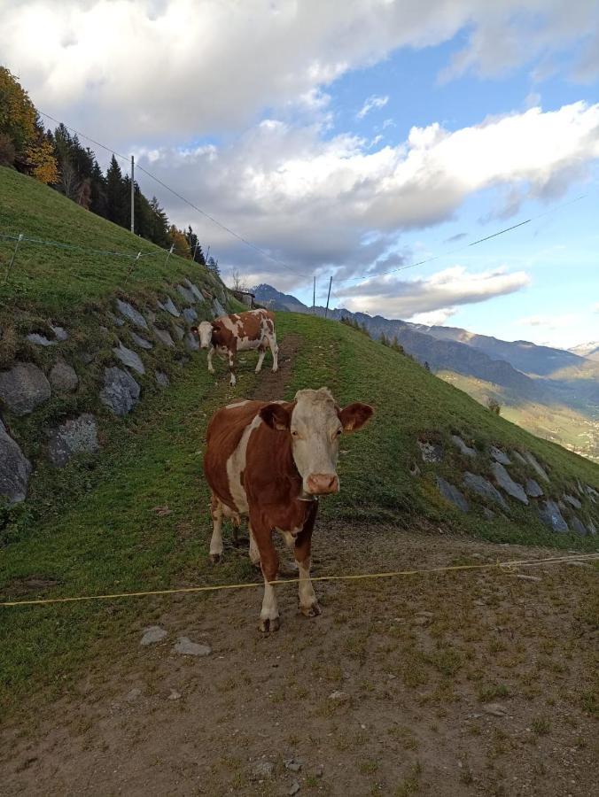 Апартаменты Ortnerhof Ahrntal Экстерьер фото